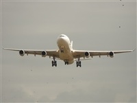 luis esteban rodriguez-YOUNG SPOTTER-spotting andalucia. Click to see full size photo