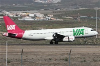 Alfonso Sols - Asociacin Canary Islands Spotting. Click to see full size photo