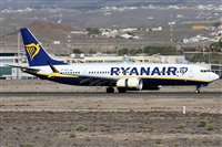 Alfonso Sols - Asociacin Canary Islands Spotting. Click to see full size photo