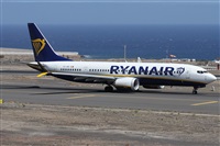 Alfonso Sols - Asociacin Canary Islands Spotting. Click to see full size photo