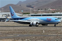 Alfonso Sols - Asociacin Canary Islands Spotting. Click to see full size photo