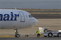 ALAMO AIRLINES.CANARY ISLANDS SPOTTING. Click to see full size photo