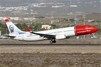 Alfonso Sols - Asociacin Canary Islands Spotting. Click to see full size photo