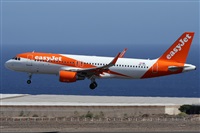 Alfonso Sols - Asociacin Canary Islands Spotting. Click to see full size photo