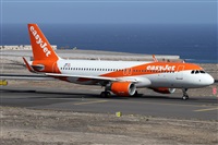 Alfonso Sols - Asociacin Canary Islands Spotting. Click to see full size photo