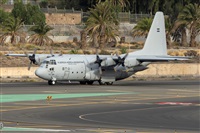 Adolfo Bento - Gran Canaria Spotters. Click to see full size photo