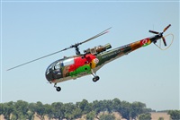 Sandro Magalhes -  www.portugalspotters.org. Click to see full size photo