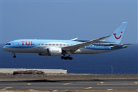 Alfonso Sols - Asociacin Canary Islands Spotting. Click to see full size photo