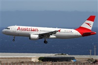 Alfonso Sols - Asociacin Canary Islands Spotting. Click to see full size photo