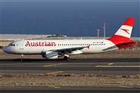 Alfonso Sols - Asociacin Canary Islands Spotting. Click to see full size photo