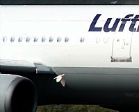 Manuel  LLama  -  Costa Del Sol Spotting Aviation. Click to see full size photo