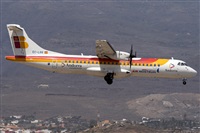 Adolfo Bento - Gran Canaria Spotters. Click to see full size photo