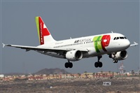 Alfonso Sols - Asociacin Canary Islands Spotting. Click to see full size photo