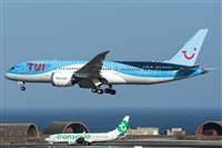 Adolfo Bento - Gran Canaria Spotters. Click to see full size photo