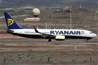 Alfonso Sols - Asociacin Canary Islands Spotting. Click to see full size photo