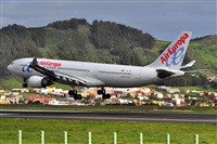 Miguel A. gueda Rguez.  (CANARY ISLANDS SPOTTING). Click to see full size photo