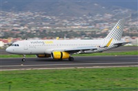 Miguel A. gueda Rguez.  (CANARY ISLANDS SPOTTING). Click to see full size photo