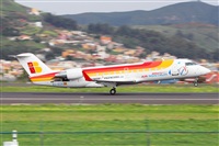 Nacho Rodriguez - Canary Islands Spotting. Click to see full size photo