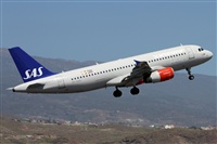 Alfonso Sols - Asociacin Canary Islands Spotting. Click to see full size photo