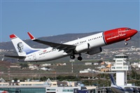 Alfonso Sols - Asociacin Canary Islands Spotting. Click to see full size photo