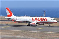 Miguel A. gueda Rguez.  (CANARY ISLANDS SPOTTING). Haz click para ampliar