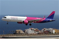 Alfonso Sols - Asociacin Canary Islands Spotting. Click to see full size photo