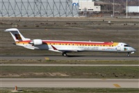 Alfonso Sols - Asociacin Canary Islands Spotting. Click to see full size photo