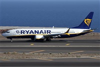 Alfonso Sols - Asociacin Canary Islands Spotting. Click to see full size photo