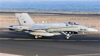 Florencio Martn Melin - Lanzarote Spotters. Click to see full size photo