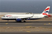 Alfonso Sols - Asociacin Canary Islands Spotting. Click to see full size photo