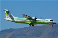 Luciano Fumero( freedom spotter)canary island spotting. Click to see full size photo