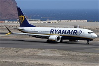 Alfonso Sols - Asociacin Canary Islands Spotting. Click to see full size photo