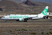 Alfonso Sols - Asociacin Canary Islands Spotting. Click to see full size photo