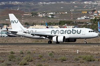 Alfonso Sols - Asociacin Canary Islands Spotting. Click to see full size photo