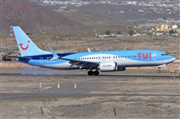 Miguel A. gueda Rguez.  (CANARY ISLANDS SPOTTING). Click to see full size photo